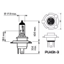 H19 PU43T-3 12V 60 / 55W halogeen Super White Pro + White 6000K Xenon-effect