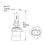 HB3A 9005XS P20d-A 12V 65W ALOGENE SUPER WHITE PRO+ BIANCO 6000K EFFECT XENON