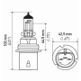 HB5 9007 PX29T 12V 65 / 45W Halogeen Super White Pro + White 6000K Xenon Effect