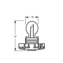 PSX24W PG20-1 12V 24W halogeen Super White Pro + White 6000k Xenon-effect
