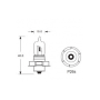 S3 P26S 12V 25W halogeen Super White Pro + White 6000K Xenon Effect
