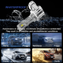 LED-lampkit 880 / H26 PG13 12/24 V 1: 1 EasyPro Plug & Play CANBUS FUZION
