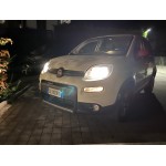 Photo from customer for H4 P43t 12V 60/55W HALOGEN SUPER WHITE PRO+ WHITE 6000K XENON EFFECT FUZION