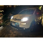 Photo from customer for H4 P43t 12V 60/55W HALOGEN SUPER WHITE PRO+ WHITE 6000K XENON EFFECT FUSION